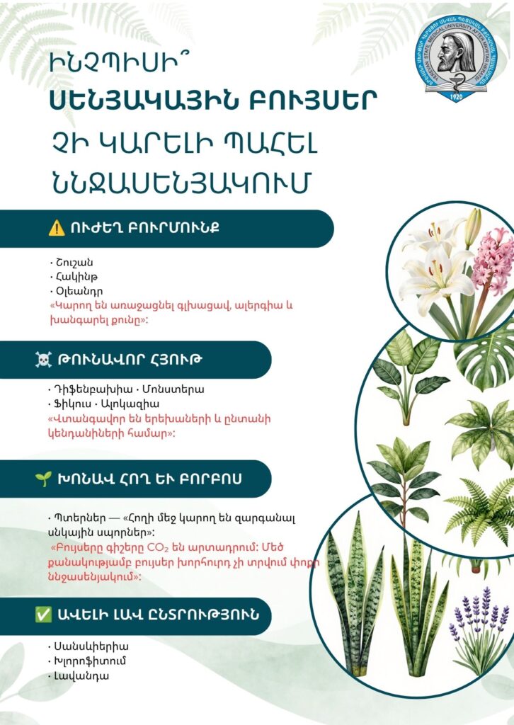 Սենյակային բույսեր․ որոնք կարող են բացասաբար ազդել առողջության վրա